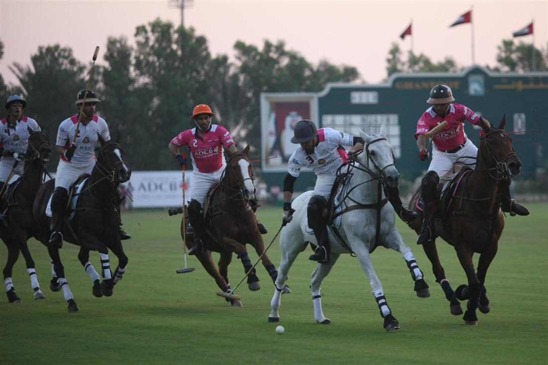 Pink Polo SPIA 2 1
