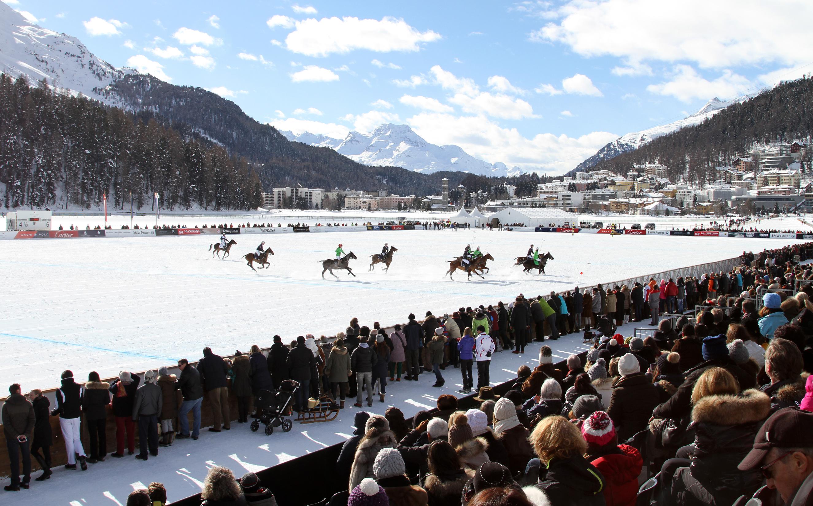 snowpolo11