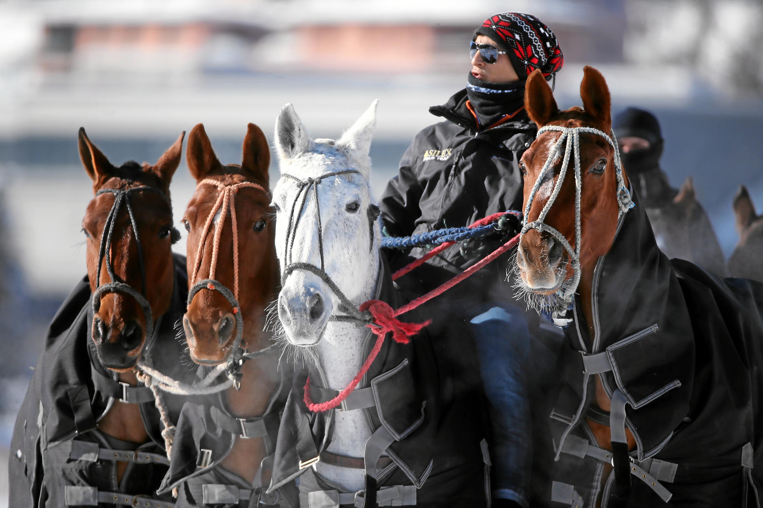 snowpolo3