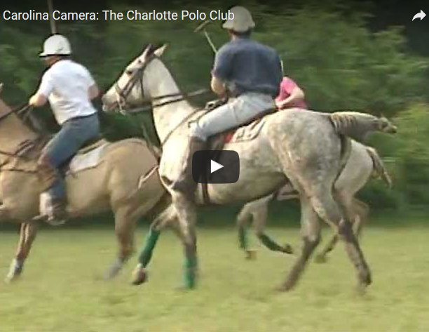 thecharlotte
