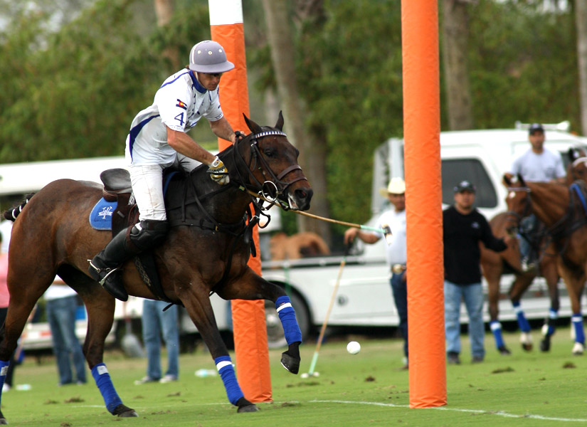 ipcinternationalpolopolomagazine 6